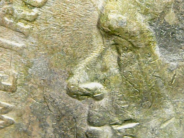 Is-This-Nickel-Rainbow-Toned?